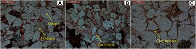 Control Mechanism and Parameter Simulation of Oil-Water Properties on Spontaneous Imbibition Efficiency of Tight Sandstone Reservoir